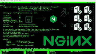 linux安装nginx